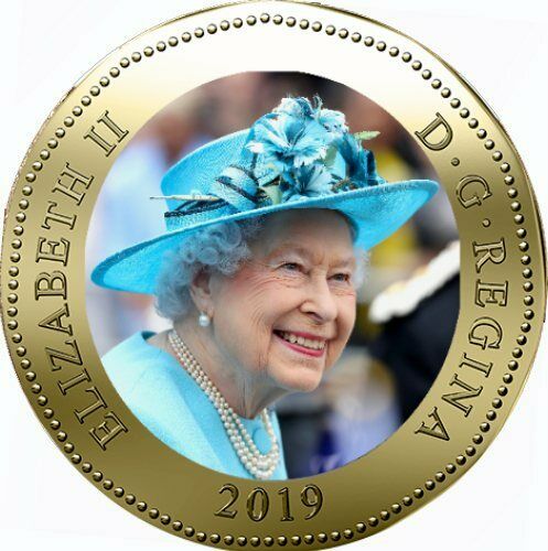 Oops-So-They-Do-Not-Know-Their-Bird-Its......-A-Goosie-Not-A-Loonie.